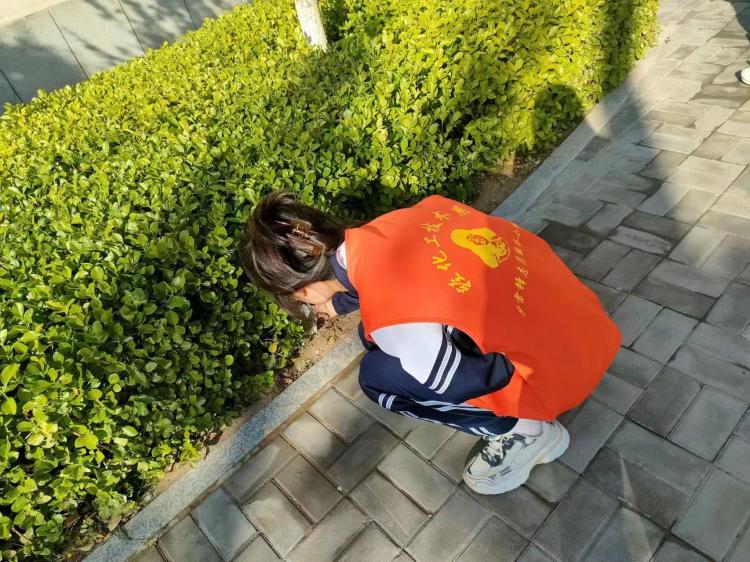 雷锋月活动回顾（二）轻化工技术系团委开展环保志愿活动